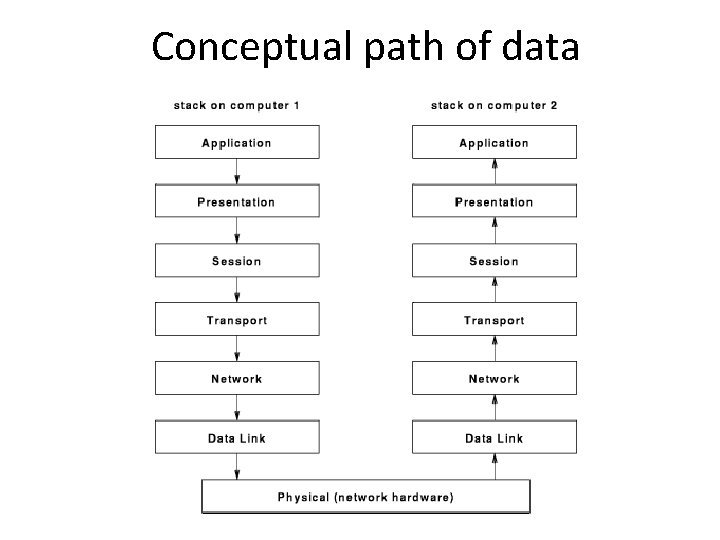 Conceptual path of data 