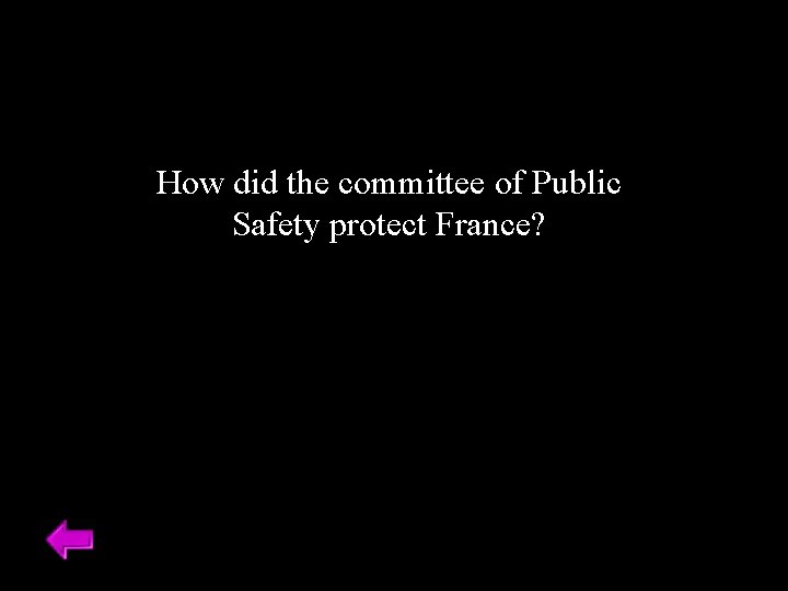 How did the committee of Public Safety protect France? 