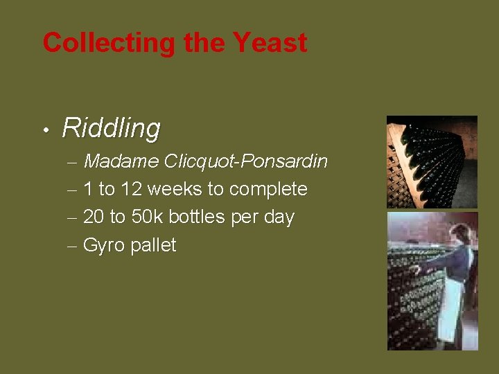 Collecting the Yeast • Riddling – Madame Clicquot-Ponsardin – 1 to 12 weeks to