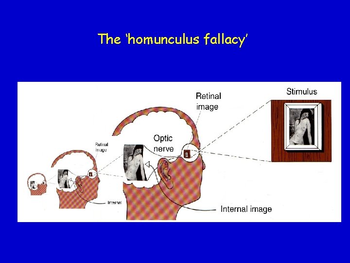 The ‘homunculus fallacy’ 