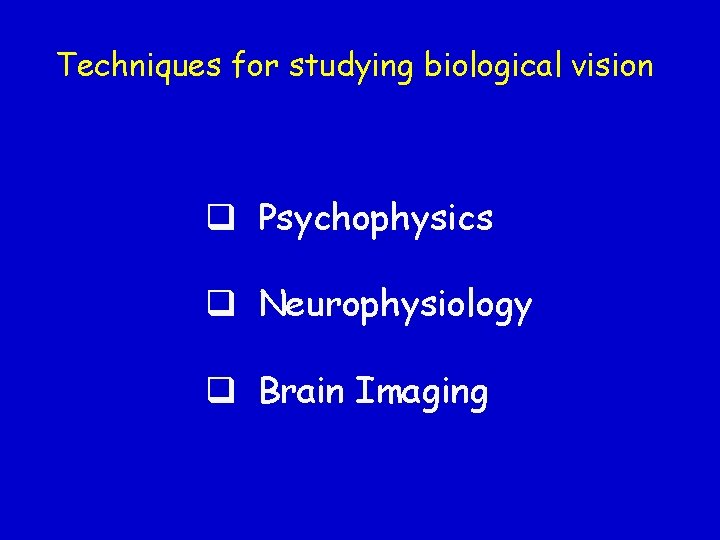 Techniques for studying biological vision q Psychophysics q Neurophysiology q Brain Imaging 