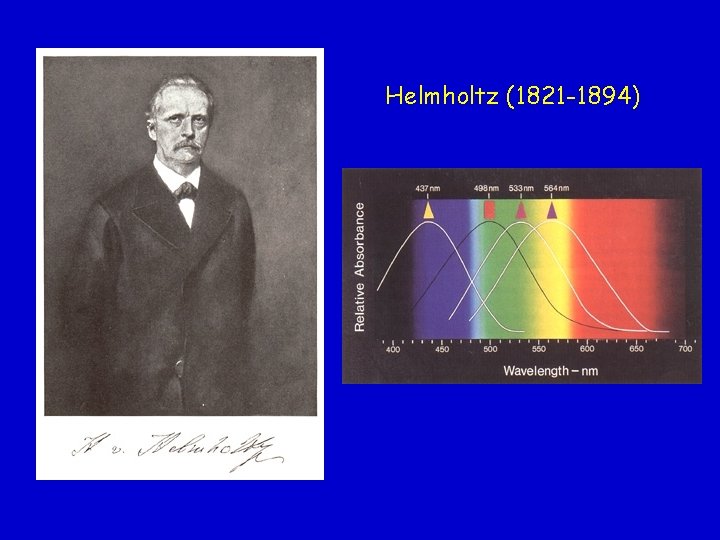 Helmholtz (1821 -1894) 