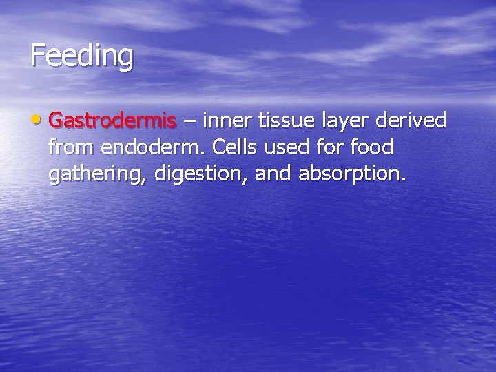 Feeding • Gastrodermis – inner tissue layer derived from endoderm. Cells used for food