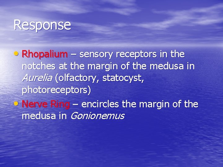 Response • Rhopalium – sensory receptors in the notches at the margin of the
