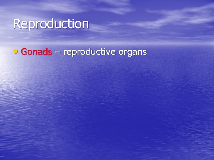 Reproduction • Gonads – reproductive organs 