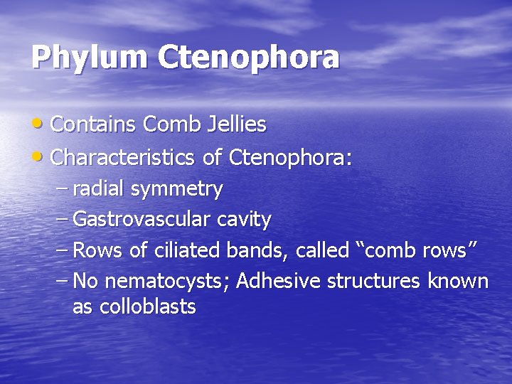 Phylum Ctenophora • Contains Comb Jellies • Characteristics of Ctenophora: – radial symmetry –