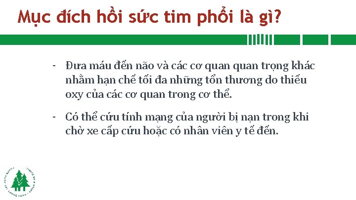 Mục đích hồi sức tim phổi là gì? - Đưa máu đến não và