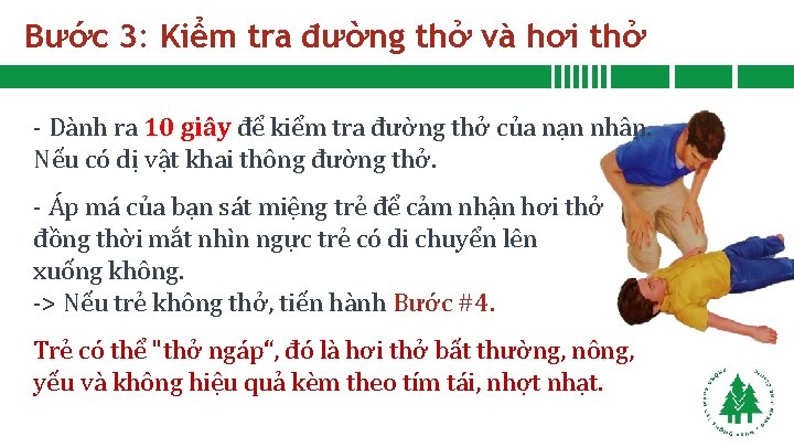 Bước 3: Kiểm tra đường thở và hơi thở - Dành ra 10 giây