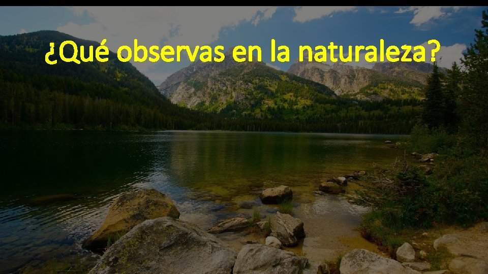 ¿Qué observas en la naturaleza? 
