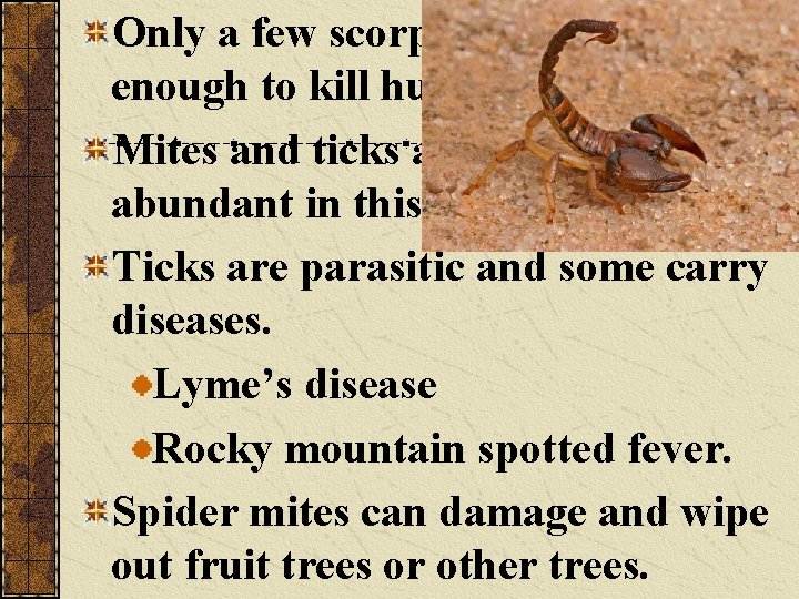 Only a few scorpions are poisonous enough to kill humans. Mites and ticks are