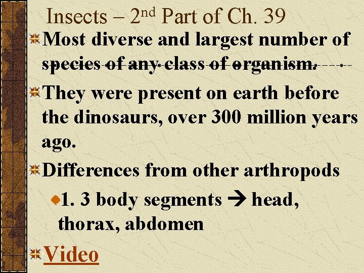Insects – 2 nd Part of Ch. 39 Most diverse and largest number of
