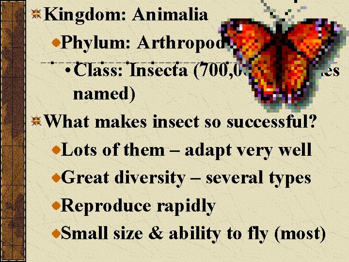 Kingdom: Animalia Phylum: Arthropoda • Class: Insecta (700, 000 + species named) What makes