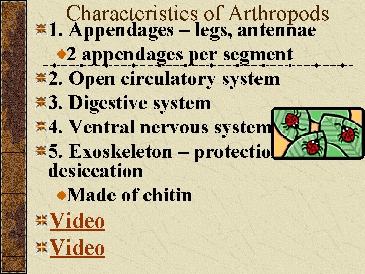 Characteristics of Arthropods 1. Appendages – legs, antennae 2 appendages per segment 2. Open