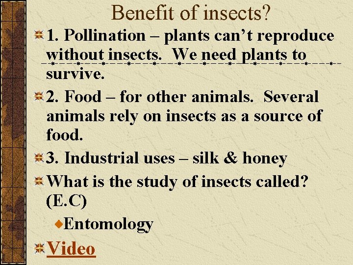 Benefit of insects? 1. Pollination – plants can’t reproduce without insects. We need plants
