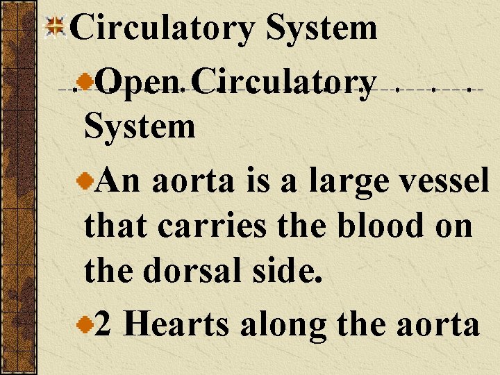 Circulatory System Open Circulatory System An aorta is a large vessel that carries the