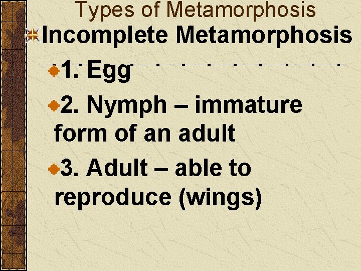 Types of Metamorphosis Incomplete Metamorphosis 1. Egg 2. Nymph – immature form of an