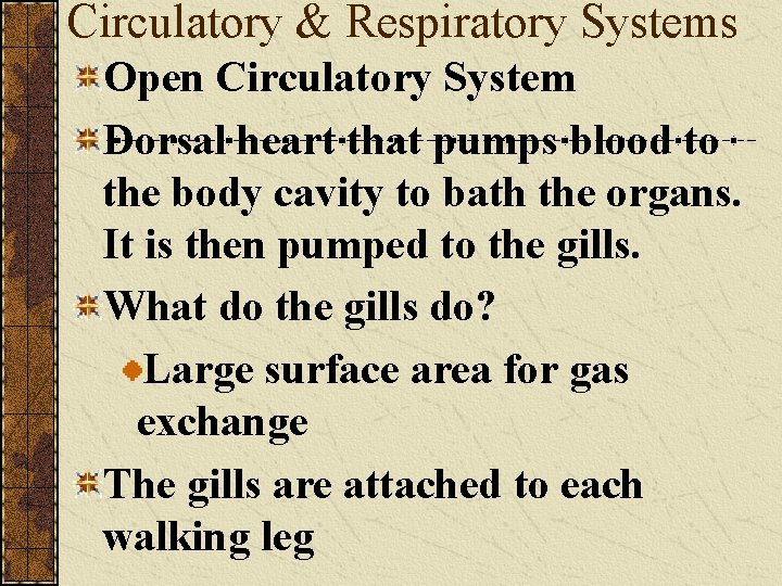 Circulatory & Respiratory Systems Open Circulatory System Dorsal heart that pumps blood to the