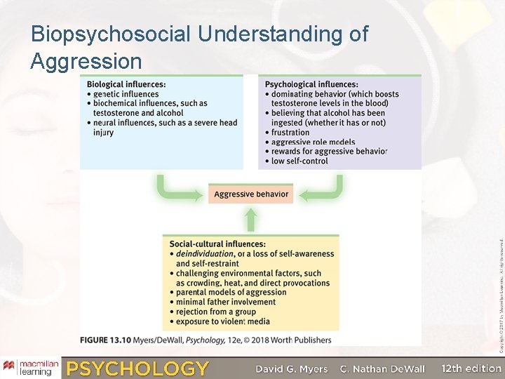 Biopsychosocial Understanding of Aggression 