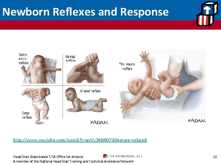 Newborn Reflexes and Response http: //www. youtube. com/watch? v=gy. VLD 0 hl 0 XY&feature=related