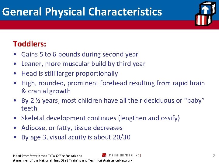 General Physical Characteristics Toddlers: • • Gains 5 to 6 pounds during second year