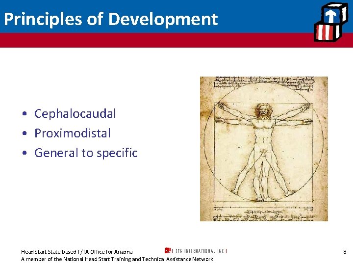 Principles of Development • Cephalocaudal • Proximodistal • General to specific Head Start State-based
