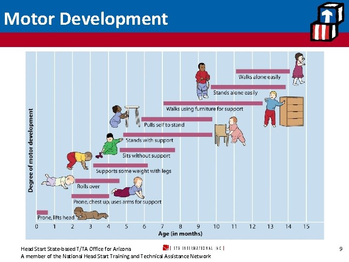 Motor Development Head Start State-based T/TA Office for Arizona A member of the National