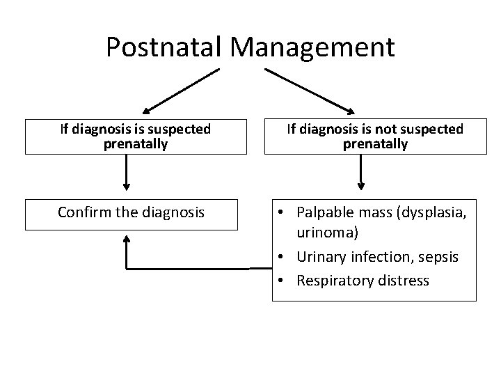 Postnatal Management If diagnosis is suspected prenatally If diagnosis is not suspected prenatally Confirm