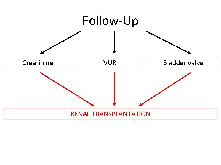 Follow-Up Creatinine VUR RENAL TRANSPLANTATION Bladder valve 