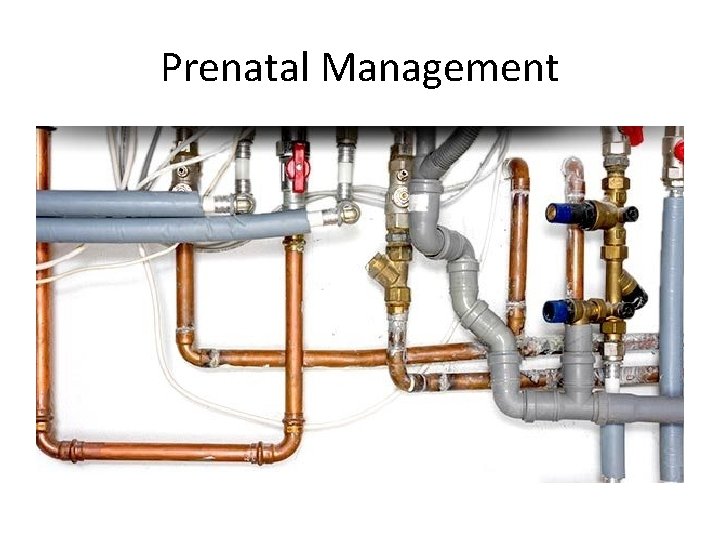 Prenatal Management 