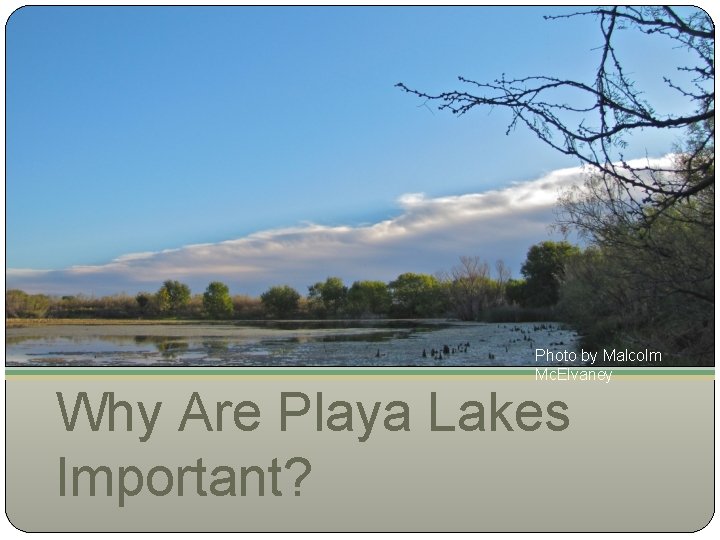 Photo by Malcolm Mc. Elvaney Why Are Playa Lakes Important? 