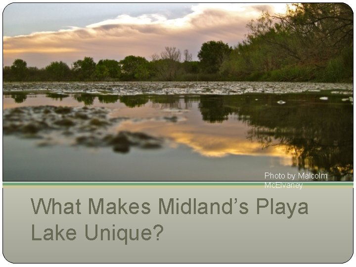 Photo by Malcolm Mc. Elvaney What Makes Midland’s Playa Lake Unique? 