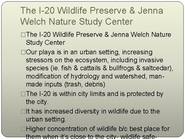 The I-20 Wildlife Preserve & Jenna Welch Nature Study Center �Our playa is in