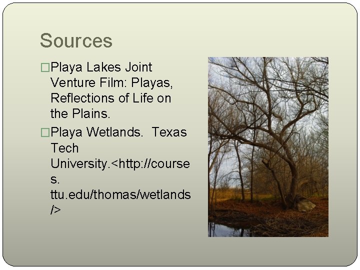 Sources �Playa Lakes Joint Venture Film: Playas, Reflections of Life on the Plains. �Playa