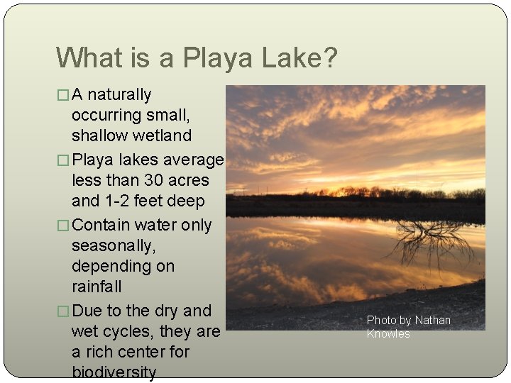 What is a Playa Lake? � A naturally occurring small, shallow wetland � Playa