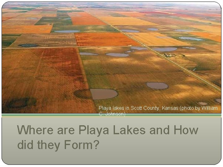 Playa lakes in Scott County, Kansas (photo by William C. Johnson) Where are Playa