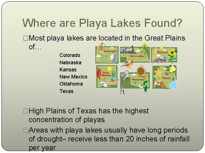 Where are Playa Lakes Found? �Most playa lakes are located in the Great Plains