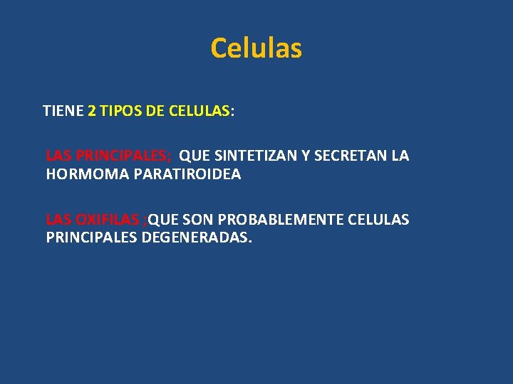 Celulas TIENE 2 TIPOS DE CELULAS: LAS PRINCIPALES; QUE SINTETIZAN Y SECRETAN LA HORMOMA Celulas TIENE 2 TIPOS DE CELULAS: LAS PRINCIPALES; QUE SINTETIZAN Y SECRETAN LA HORMOMA