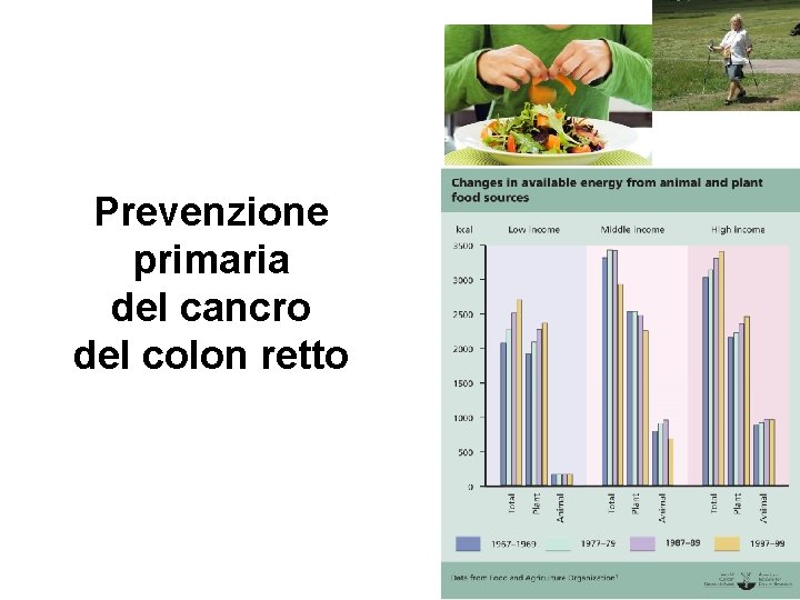 Prevenzione primaria del cancro del colon retto 