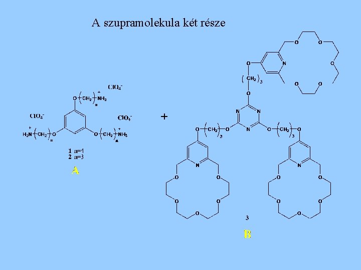 A szupramolekula két része 