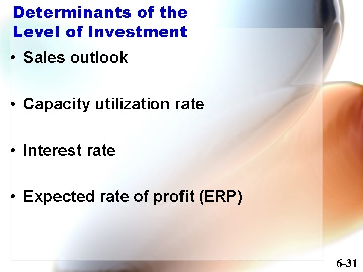 Determinants of the Level of Investment • Sales outlook • Capacity utilization rate •