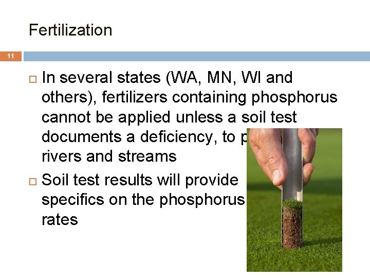 Fertilization 11 In several states (WA, MN, WI and others), fertilizers containing phosphorus cannot