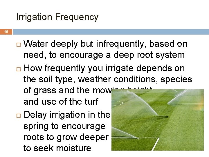 Irrigation Frequency 16 Water deeply but infrequently, based on need, to encourage a deep