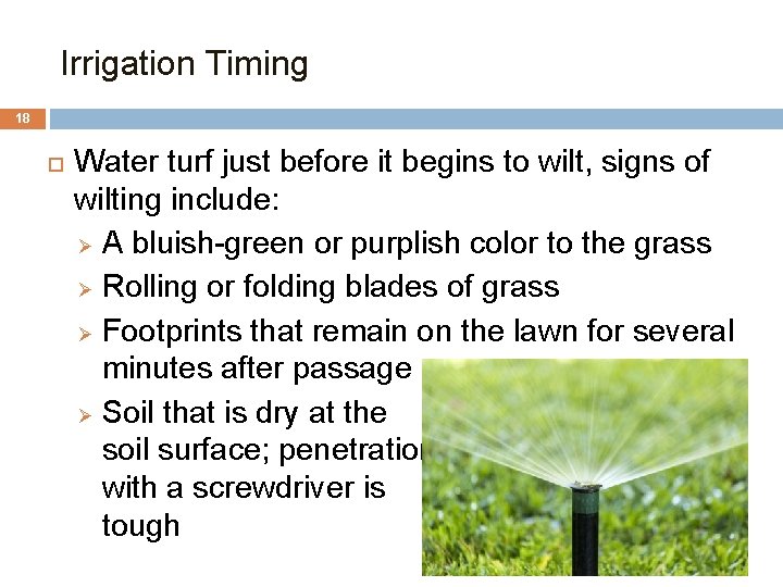 1. Irrigation Timing 18 Water turf just before it begins to wilt, signs of