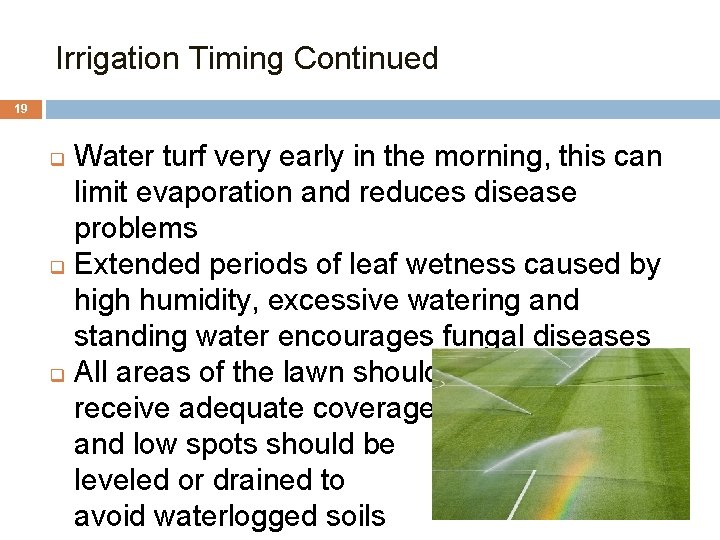 Irrigation Timing Continued 19 Water turf very early in the morning, this can limit