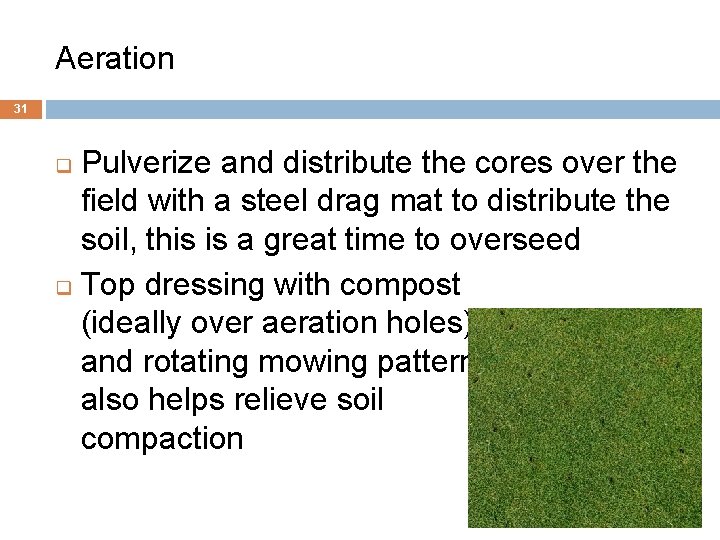 Aeration 31 Pulverize and distribute the cores over the field with a steel drag