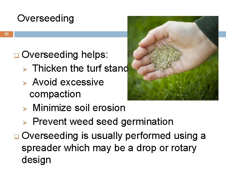 1. Overseeding 35 Overseeding helps: Ø Thicken the turf stand Ø Avoid excessive compaction