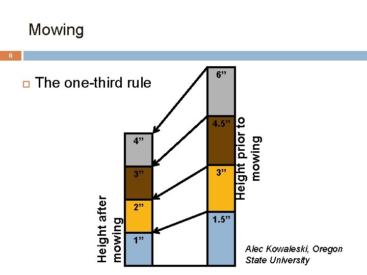 Mowing 6 4. 5” 4” 3” 3” Height prior to mowing The one-third rule