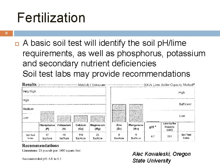 Fertilization 9 A basic soil test will identify the soil p. H/lime requirements, as