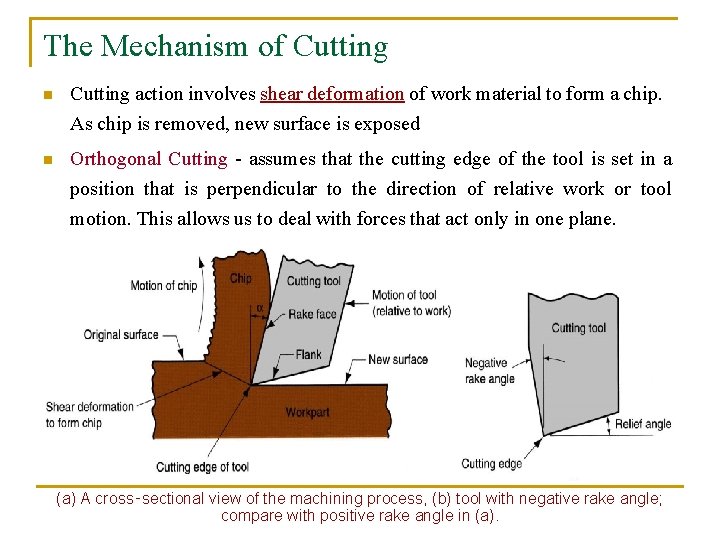 The Mechanism of Cutting n Cutting action involves shear deformation of work material to