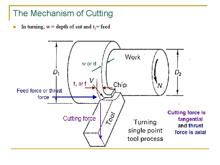 The Mechanism of Cutting n In turning, w = depth of cut and t